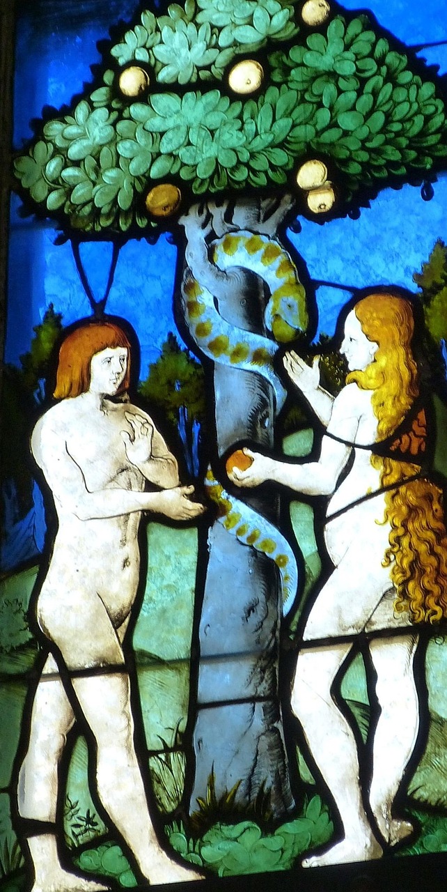adam and eve, church window, church, window, stained glass, stained glass window, faith, bible, picture, christian, christianity, message, creation, human, line, fall of man, man, woman